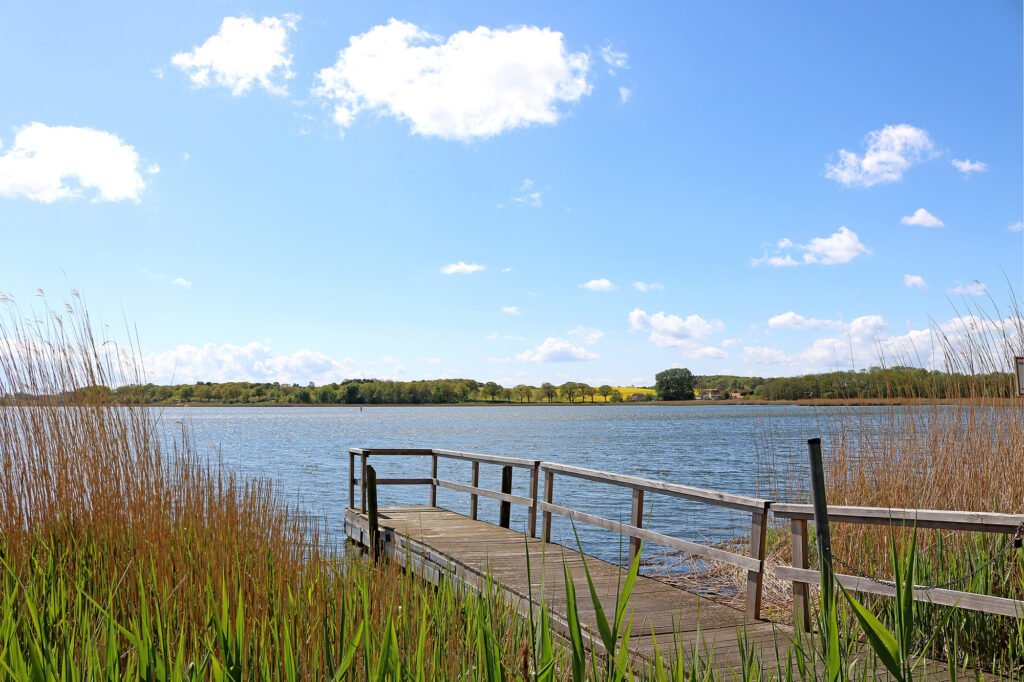 Steg_IMG_3879_xl